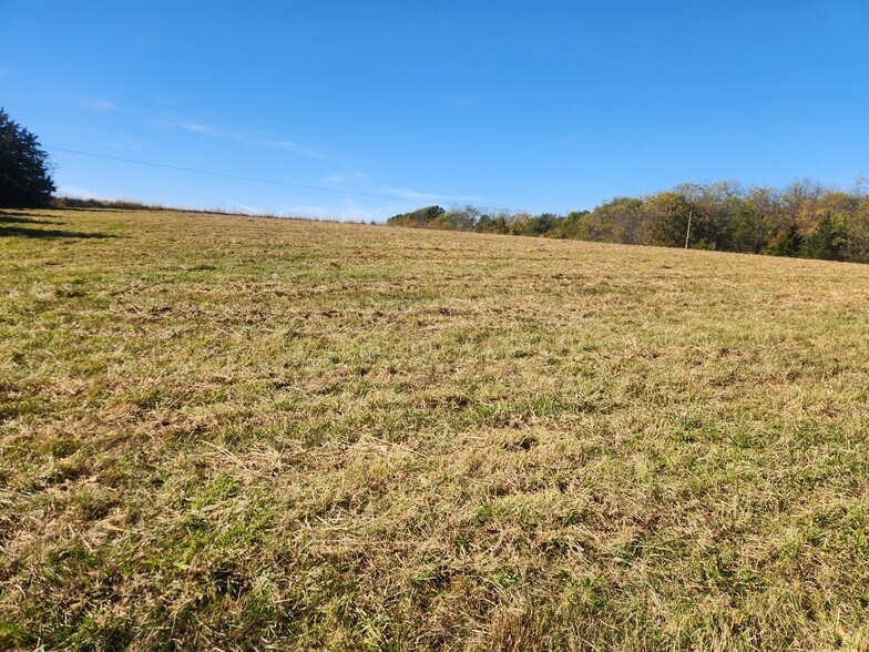 More Photos Of County Road 197 (5+/- Acres) Tract 3, Williamsburg Land For Sale