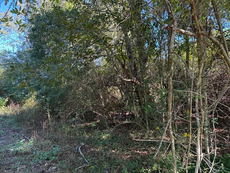 More Photos Of 0 Pleasant Hill rd, Century Land For Sale