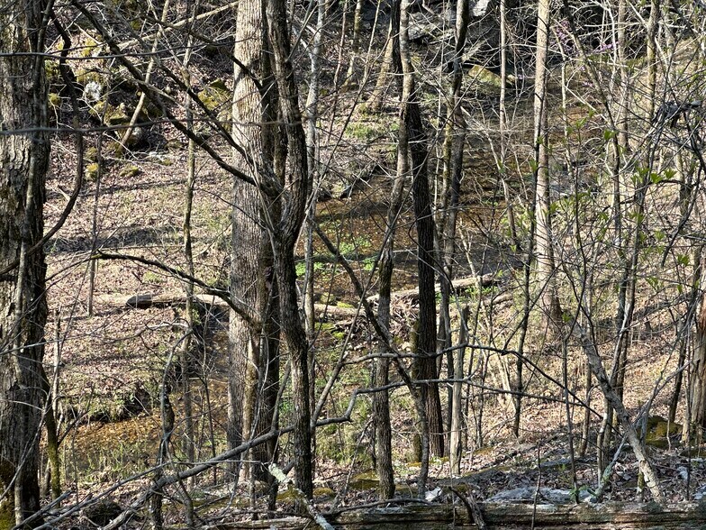 More Photos Of 7312 Highway 60, Georgetown Land For Sale