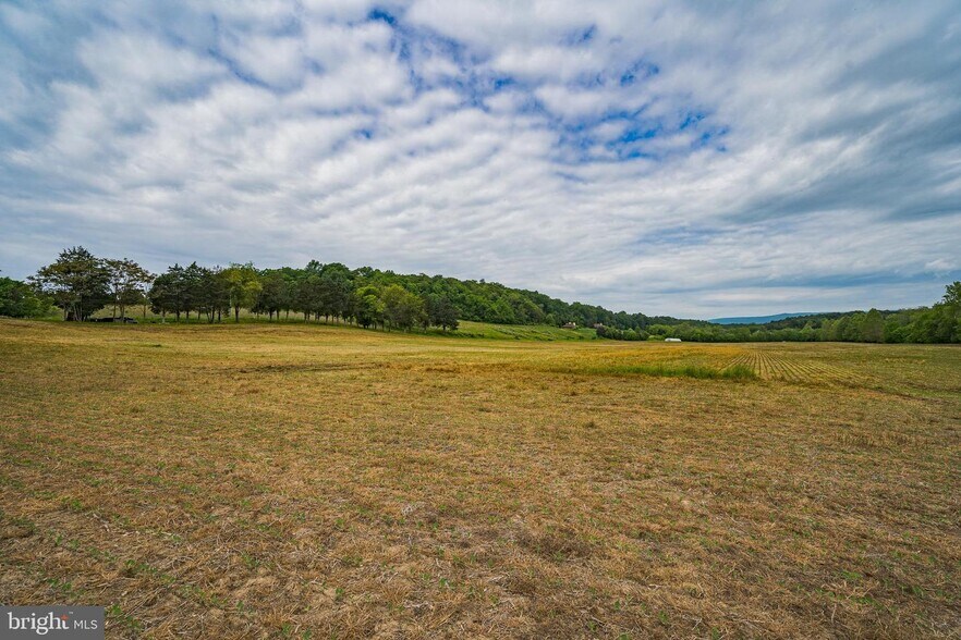 More Photos Of 895 Fishers rd, Maurertown Land For Sale