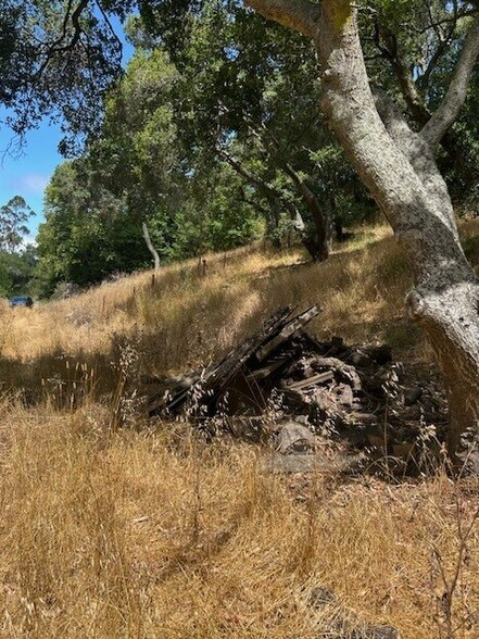 More Photos Of 6675 Petersen Rd, Petaluma Food Processing For Sale