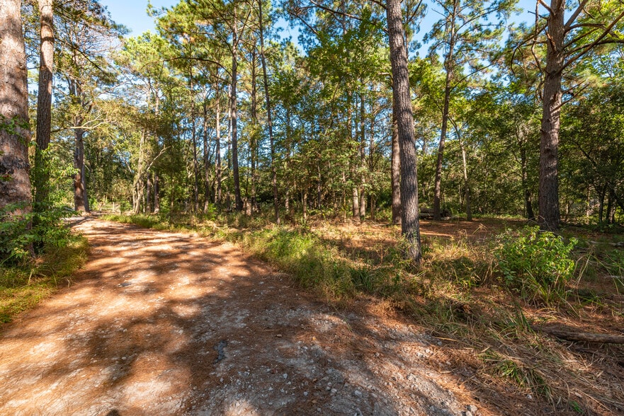 More Photos Of 225 Foster Street, Alvin Land For Sale