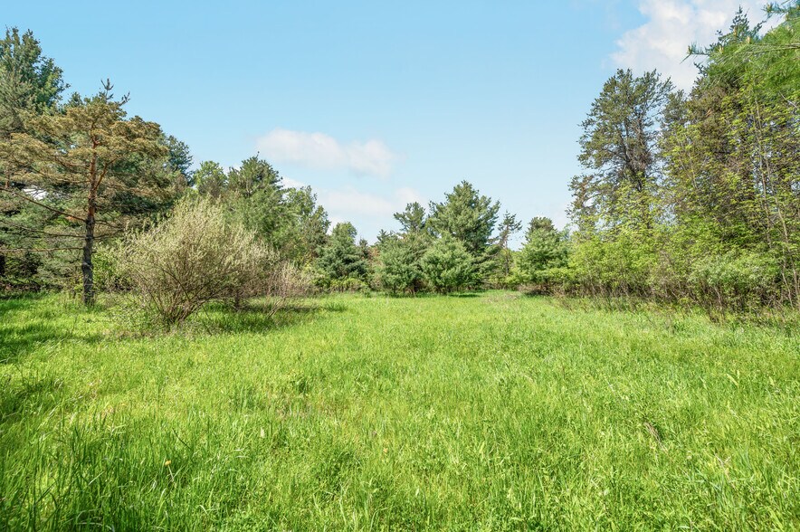 More Photos Of V/L 220th Ave, Big Rapids Land For Sale