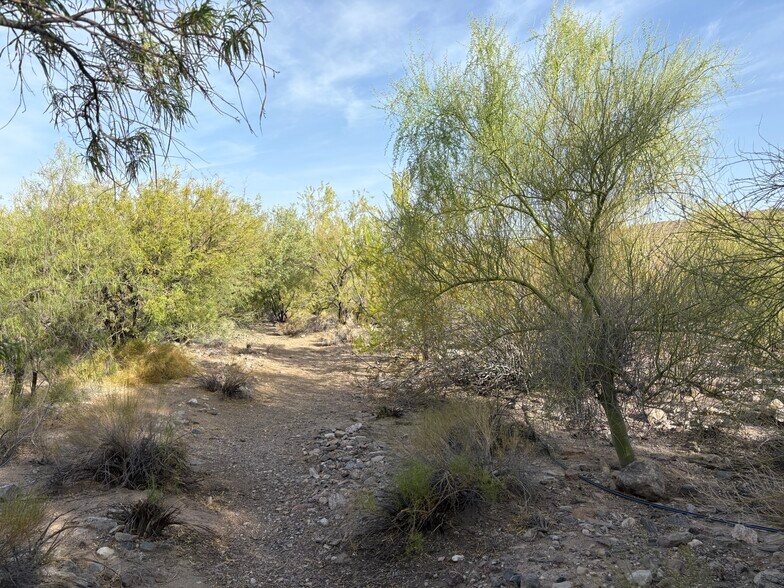 More Photos Of 160 +/- Acres Juanita Springs Ranch, Bunkerville Land For Sale
