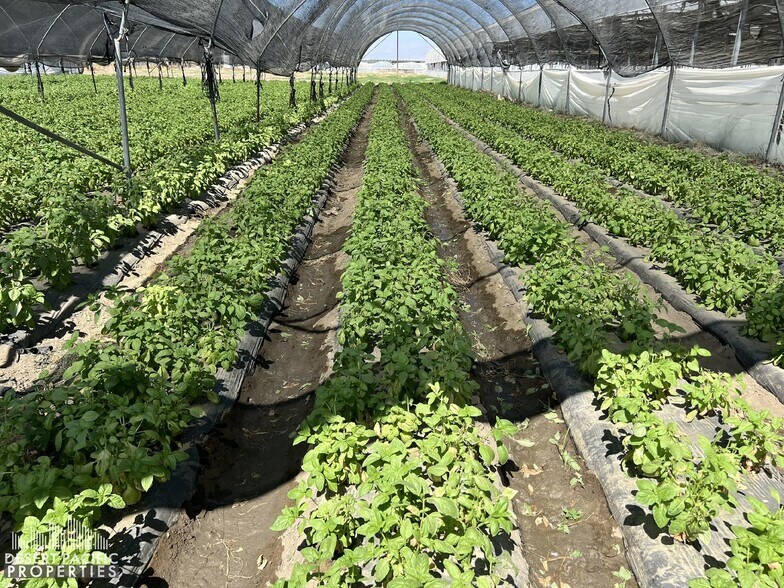 More Photos Of 78100 Harrison St, Thermal Land For Sale