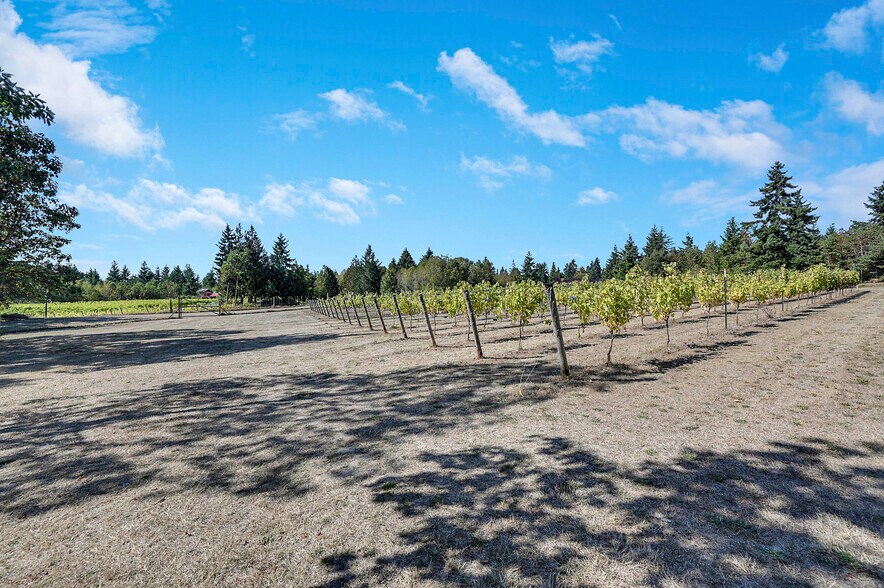 More Photos Of 1673 Woodland Dr, Port Townsend Winery Vineyard For Sale