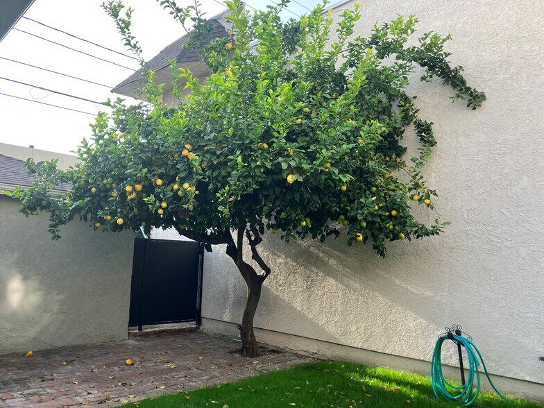 More Photos Of 271 W Ash Ave, Burbank Apartments For Sale