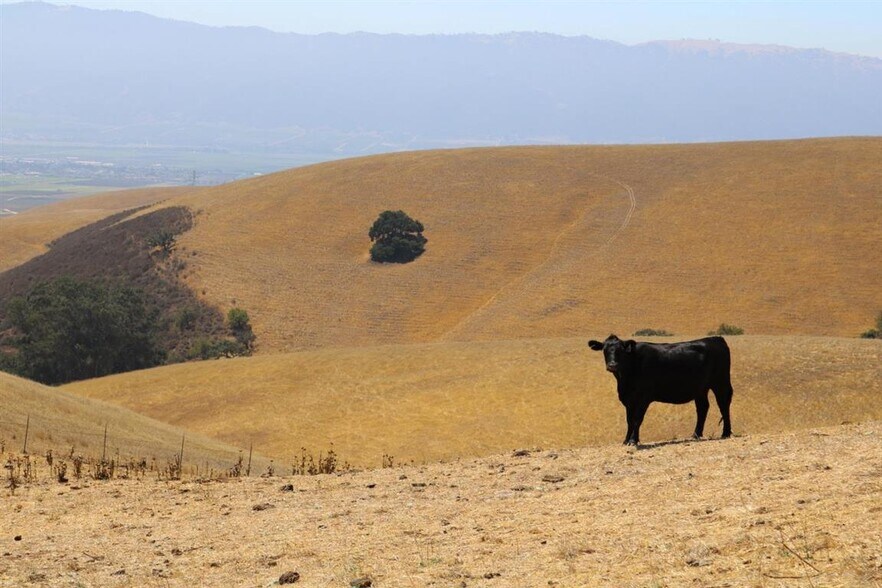 More Photos Of 32800 Johnson Canyon Rd, Gonzales Land For Sale