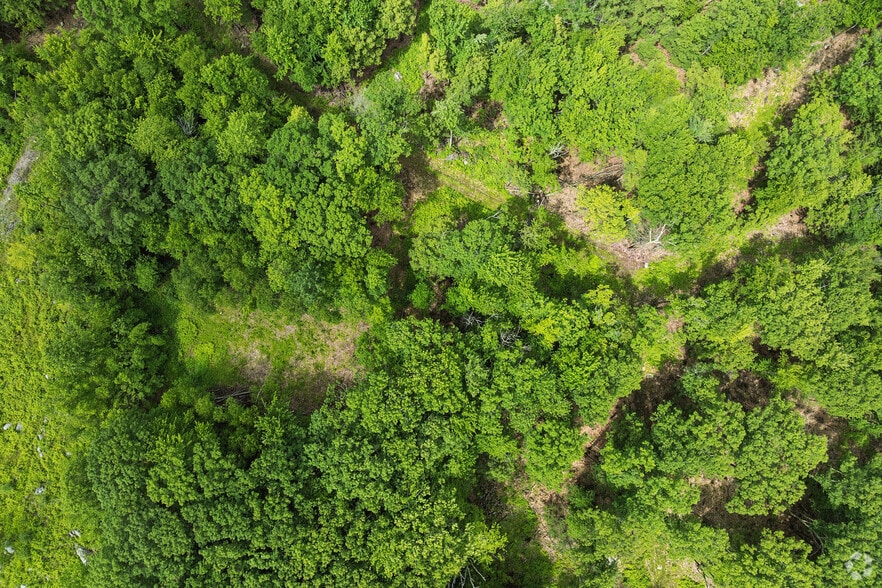 More Photos Of 111 Chestnut Hill Rd, New Boston Land For Sale