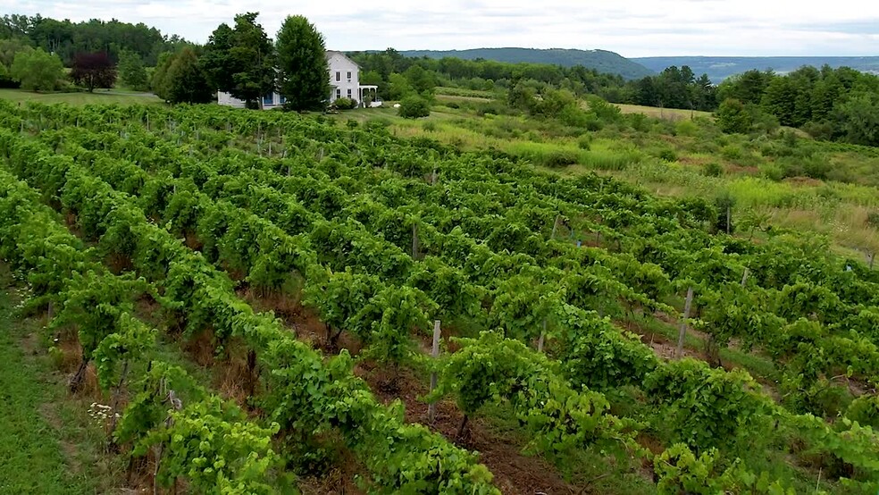 Primary Photo Of 9940 Middle Rd, Hammondsport Winery Vineyard For Sale