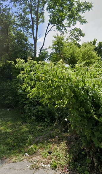 More Photos Of , Albany Land For Sale