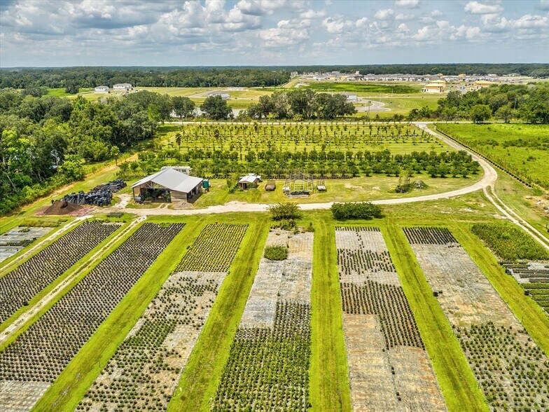 More Photos Of 2816 Crystal Springs Rd, Zephyrhills Winery Vineyard For Sale