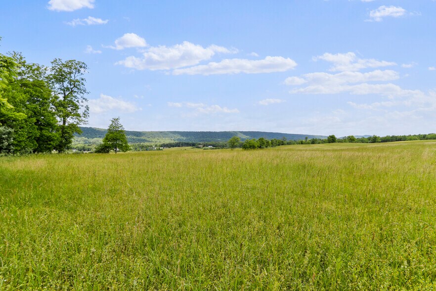 More Photos Of 3648 Dominion Rd, Gerrardstown Land For Sale