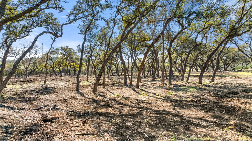 More Photos Of 16597 U.S. 281, Spring Branch Land For Sale