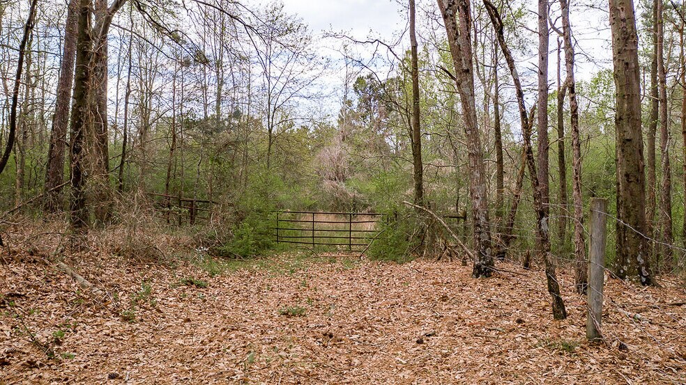 More Photos Of 383 Storey Porter Rd, Jefferson Land For Sale