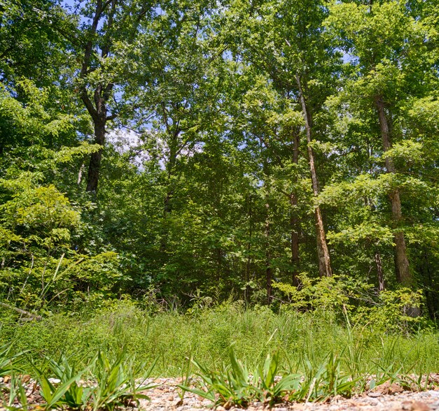 More Photos Of 2 W Off Keel Hollow Ln, Erin Land For Sale