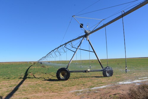 More Photos Of TBD CR 260, Morton Land For Sale