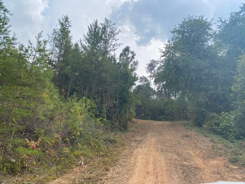 More Photos Of 8 First Ave, Ellijay Land For Sale