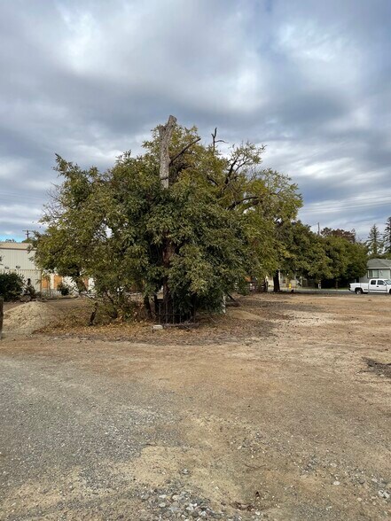 More Photos Of 534 Johnston St, Woodland Land For Sale