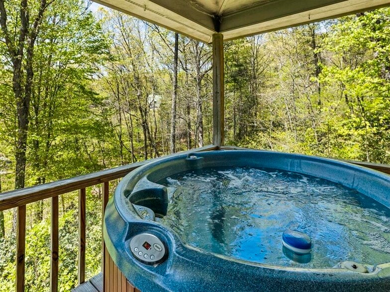 More Photos Of 366 Paradise Rd, Blairsville Winery Vineyard For Sale