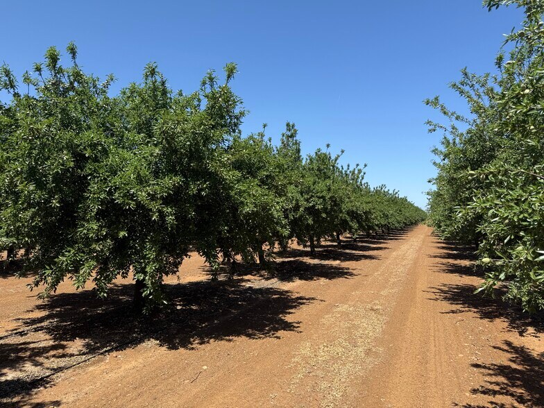 More Photos Of 0 Little Panoche Road, Firebaugh Land For Sale