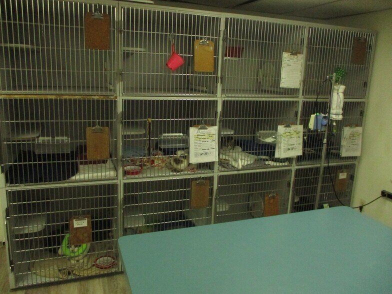 More Photos Of 729 Ridge Rd, Webster Veterinarian Kennel For Sale