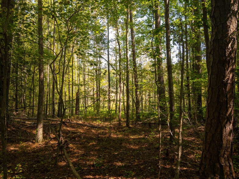 More Photos Of 00 Nash Mill Extension rd, Fountain Inn Land For Sale