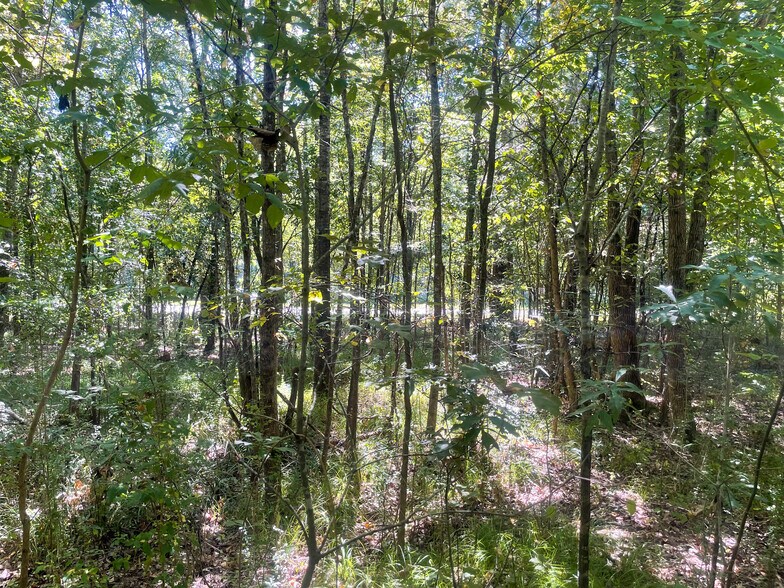 More Photos Of Towne Center Blvd., Ridgeland Land For Sale