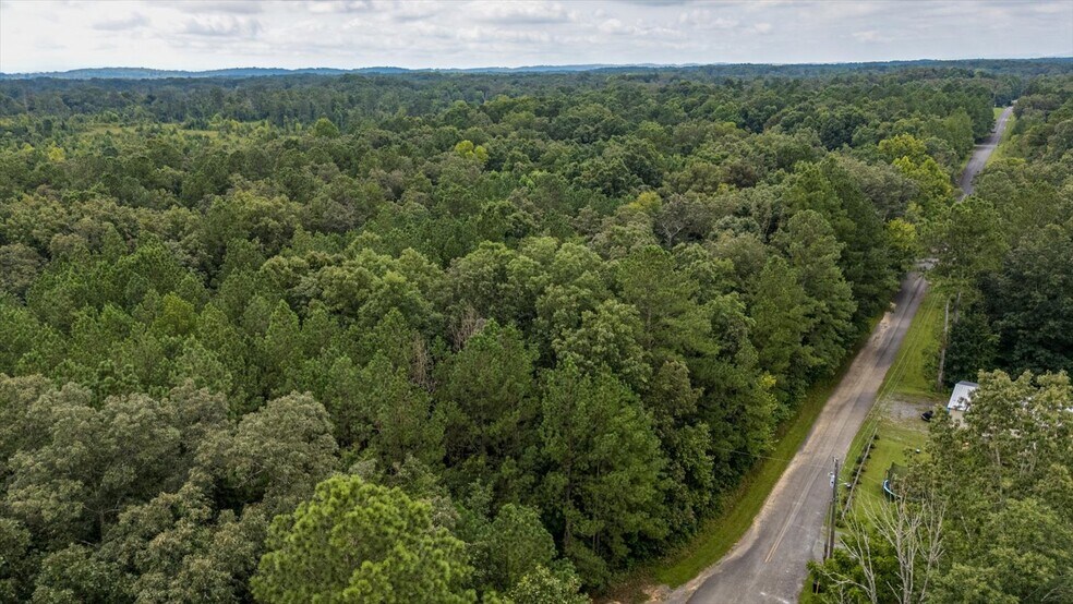 More Photos Of 0 Poindexter SE Dr, Cleveland Land For Sale