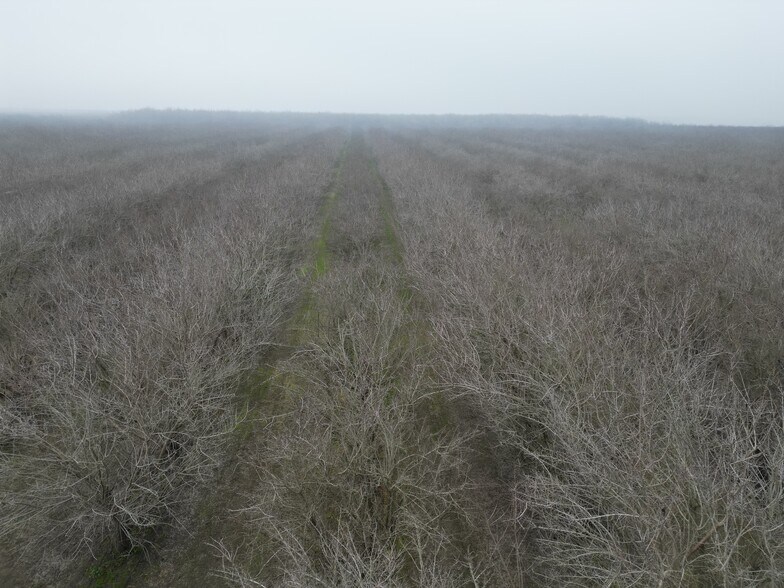 More Photos Of 8350 17 1/2 Avenue, Lemoore Land For Sale