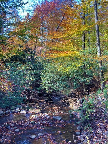 More Photos Of 2005 Grafton Rd, Morgantown Land For Sale