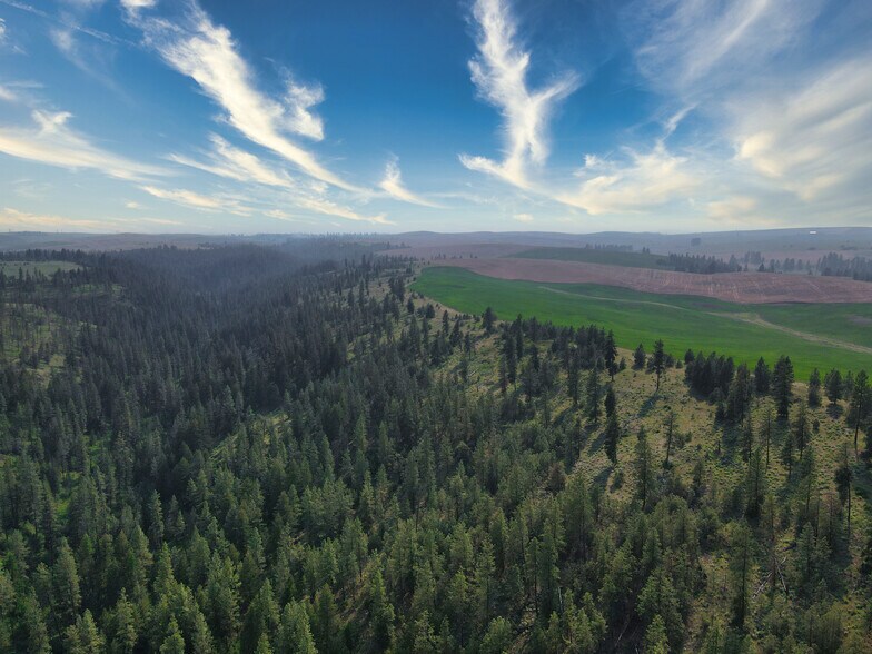 More Photos Of 45XXX Devore Rd, Davenport Land For Sale