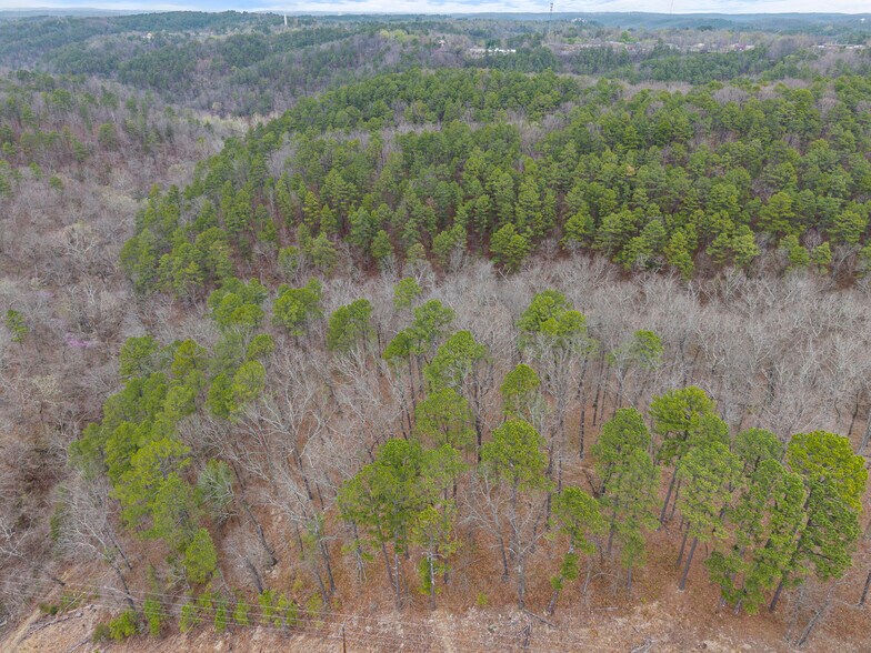 More Photos Of 0 Jordan Drive, Eureka Springs Land For Sale