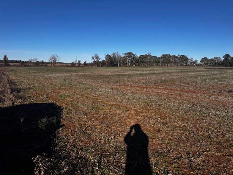 More Photos Of 0 Wiggins Road, Frisco City Land For Sale