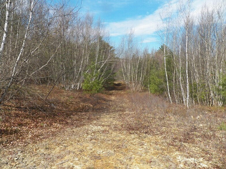More Photos Of 988 Dover Rd, Epsom Land For Sale
