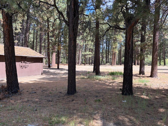 More Photos Of 42280 Moonridge Rd, Big Bear Lake Land For Sale