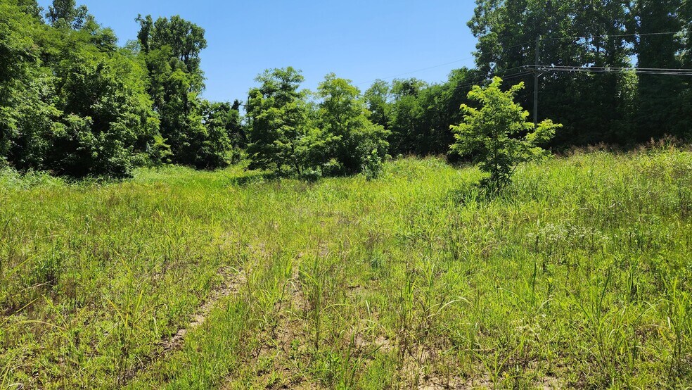 More Photos Of 000 Hwy 61 North, Vicksburg Land For Sale