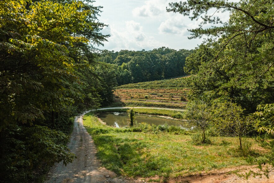 More Photos Of 9975 Ball Ground Hwy, Ball Ground General Retail For Sale