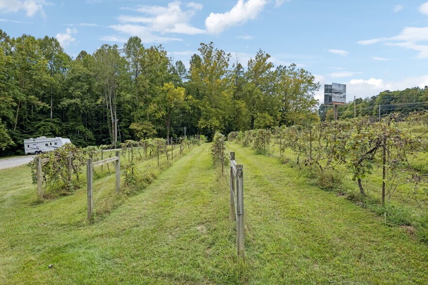 More Photos Of 2965 Tennessee 28, Jamestown Winery Vineyard For Sale