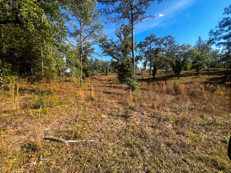 More Photos Of 0 Highway 198, Lucedale Land For Sale