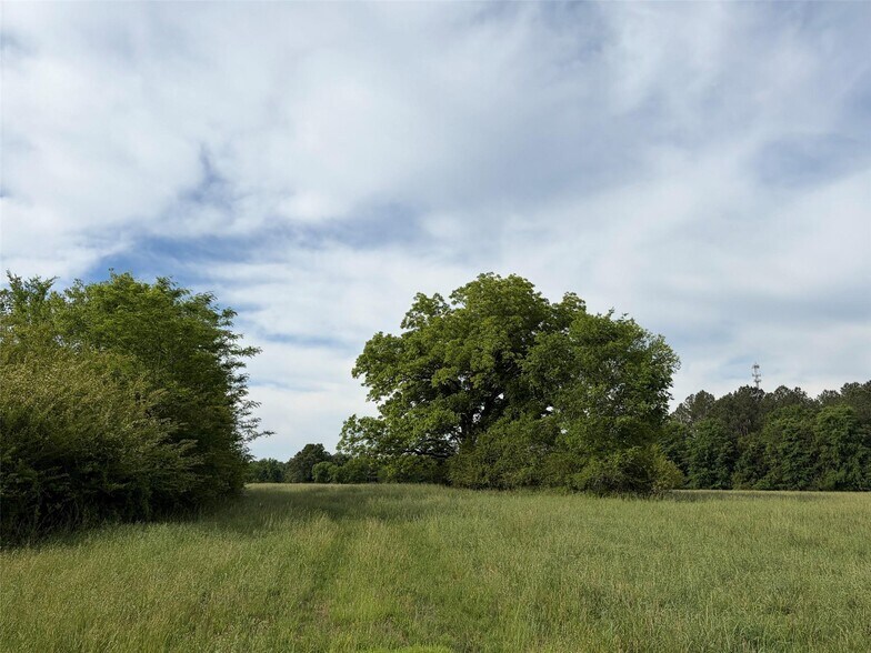 More Photos Of 0 Lancaster Hwy, Chester Land For Sale