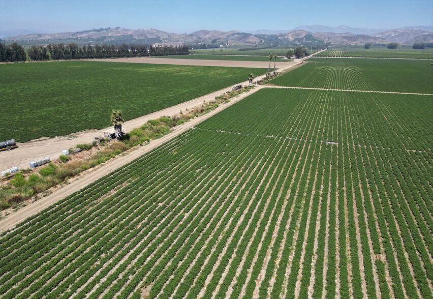 More Photos Of 150 Los Angeles, Somis Land For Sale