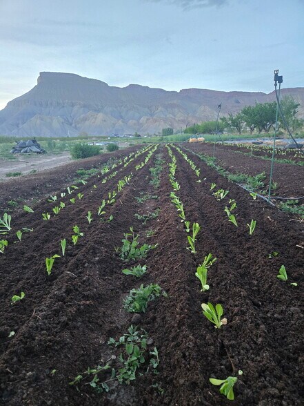 More Photos Of 3526 Front St, Palisade Specialty For Sale