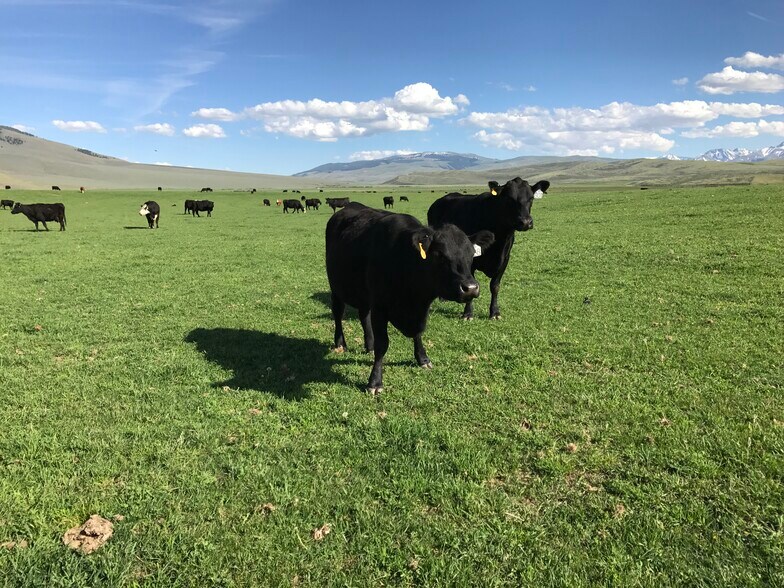 More Photos Of 3750 Pahsimeroi Rd, May Land For Sale