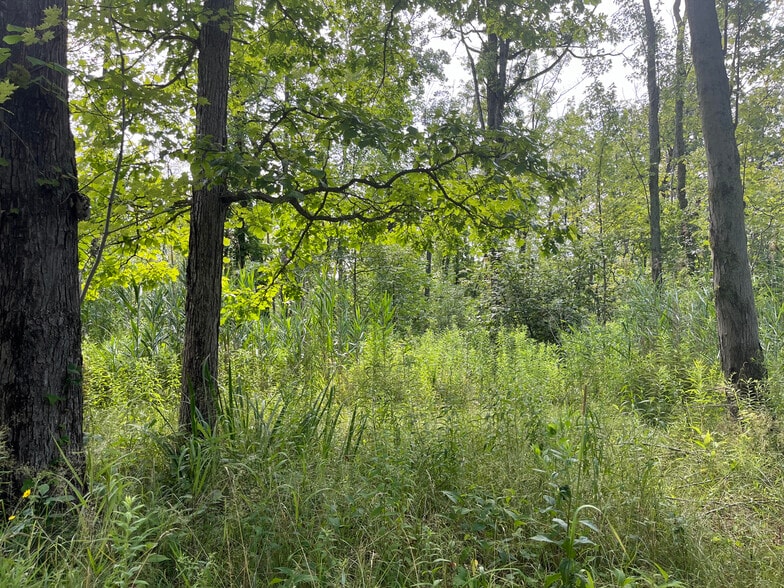 More Photos Of 9595 Horseshoe Island, Clay Land For Sale
