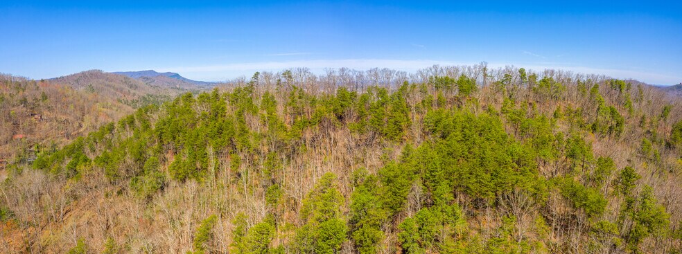 More Photos Of 4300 Parkway, Pigeon Forge Land For Sale