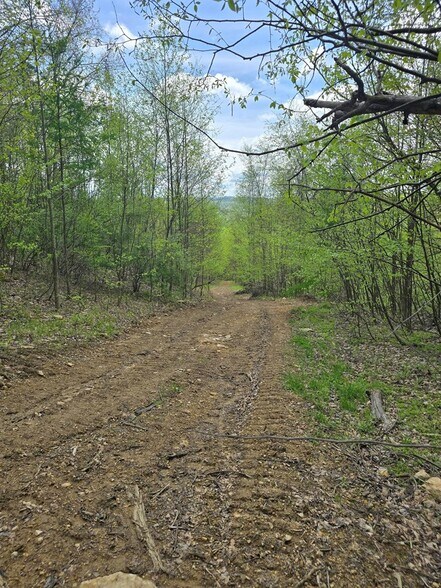 More Photos Of 0 Lower Mudlic rd, Mayport Land For Sale