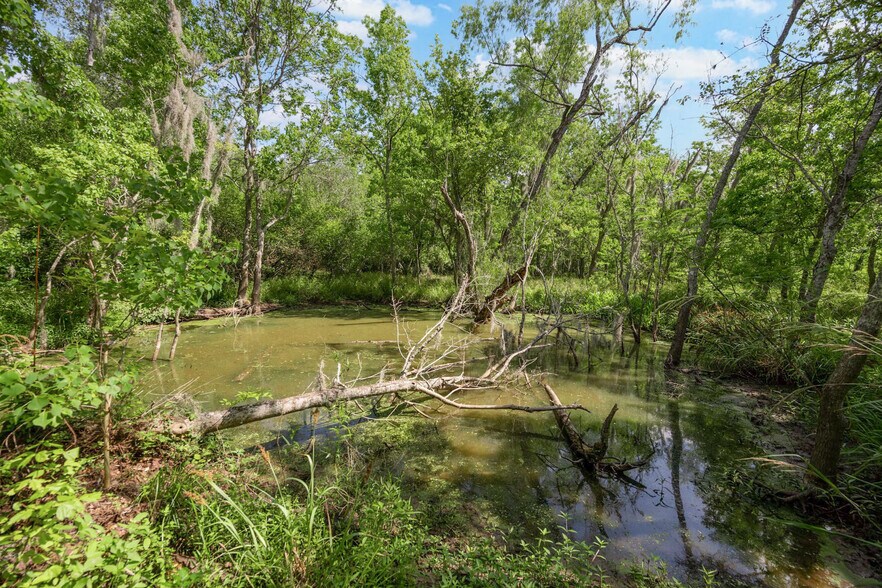 More Photos Of 2932 W FM 1462, Rosharon Land For Sale