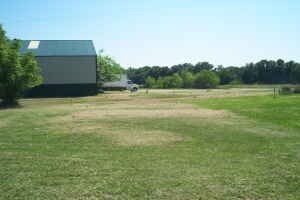 More Photos Of 440 NW 7 Hwy, Urich Warehouse For Sale