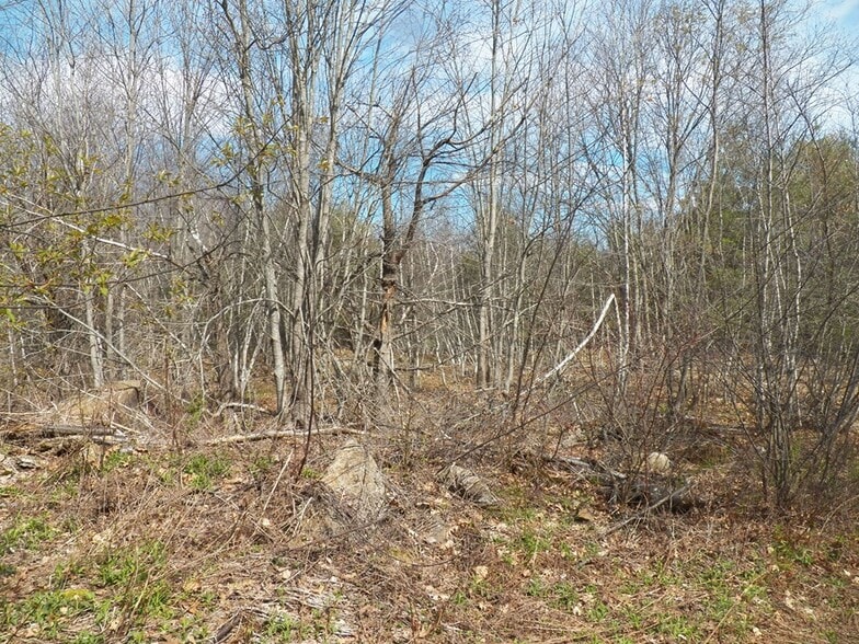 More Photos Of 988 Dover Rd, Epsom Land For Sale